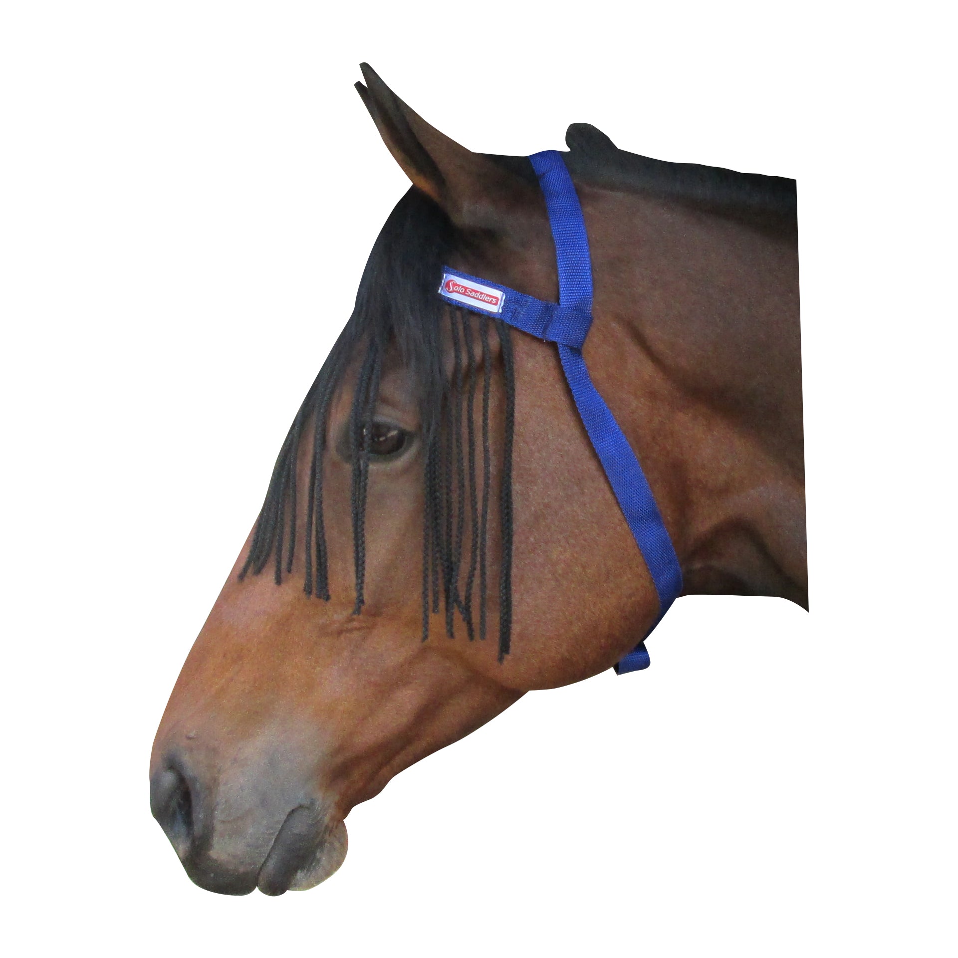 Fly Fringe String Cord Solo